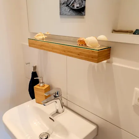 Austernfischer E013 *