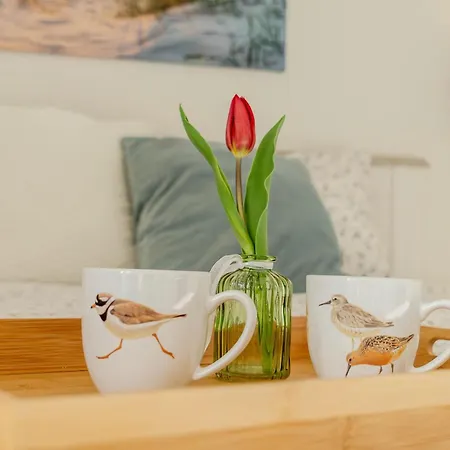 Austernfischer E013 *