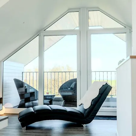 Austernfischer E013 Schillig