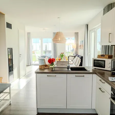 Austernfischer E013 *