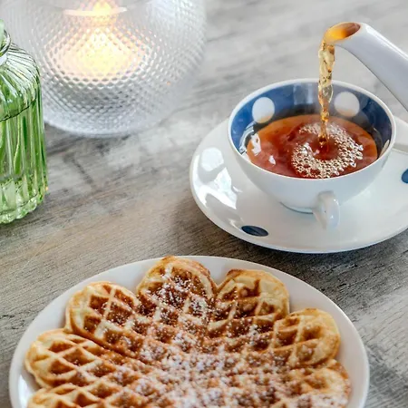 Austernfischer E013 Casa de Férias