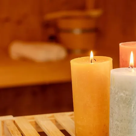 Austernfischer E013 * Schillig